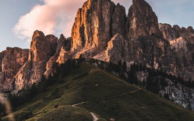 Entre Crau, Alpilles et Camargue : une Provence sauvage et authentique