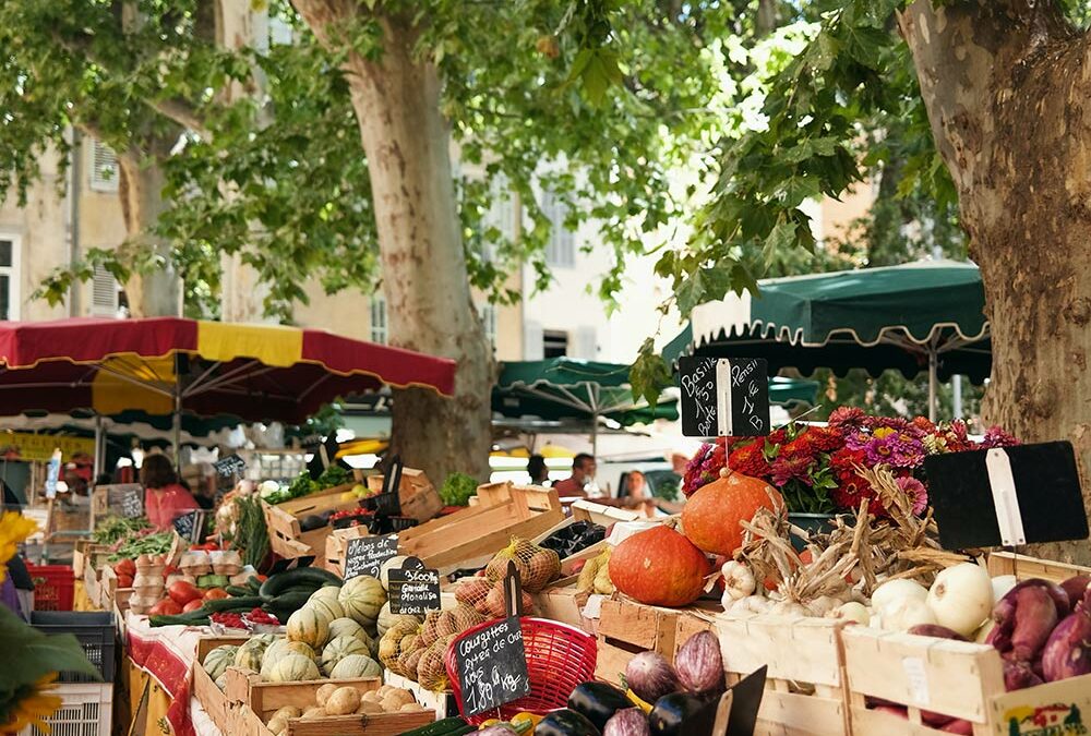 Culture et animation autour du Mas de la Forge : vivez la Provence autrement
