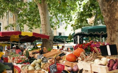 Culture et animation autour du Mas de la Forge : vivez la Provence autrement
